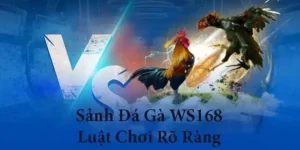Hướng Dẫn Cách Chơi Đá Gà WS168 Tại FB88 Chi Tiết Nhất