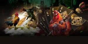 Hướng Dẫn Cách Chơi Đá Gà GA28 Tại FB88 Chi Tiết Nhất